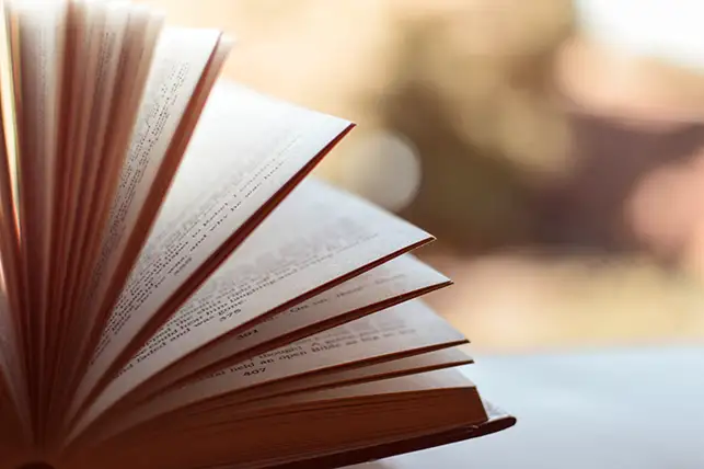 Illustration rubrique "Livres" pour bibliographie du site Mindfulness Seuls-Ensemble